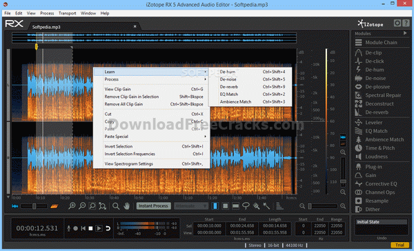 iZotope RX Advanced Audio Editor