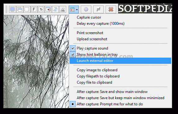 Screenshot Captor Portable